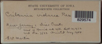 Image Associated With the Occurence